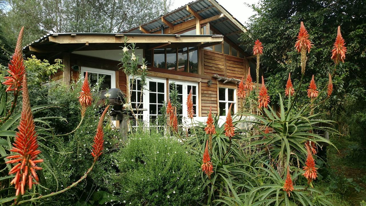 Boutique Vintage Forest Cabin Stormsrivier Exteriér fotografie